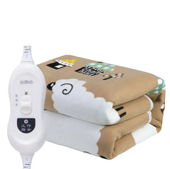 110V Electric Blanket