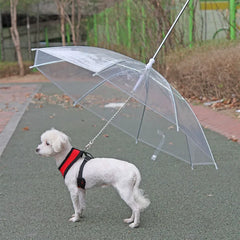 Pet Umbrella With Leash