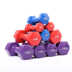 Home Gym Dumbbell Set