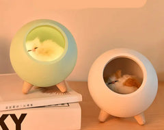 USB Charging Cat Night Light