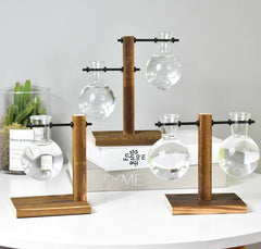 Creative Hydroponic Pothos in Modern Glass Vase