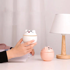 Cute Mini USB Humidifier for Home and Office Use
