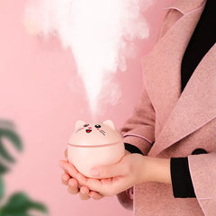 Cute Mini USB Humidifier for Home and Office Use