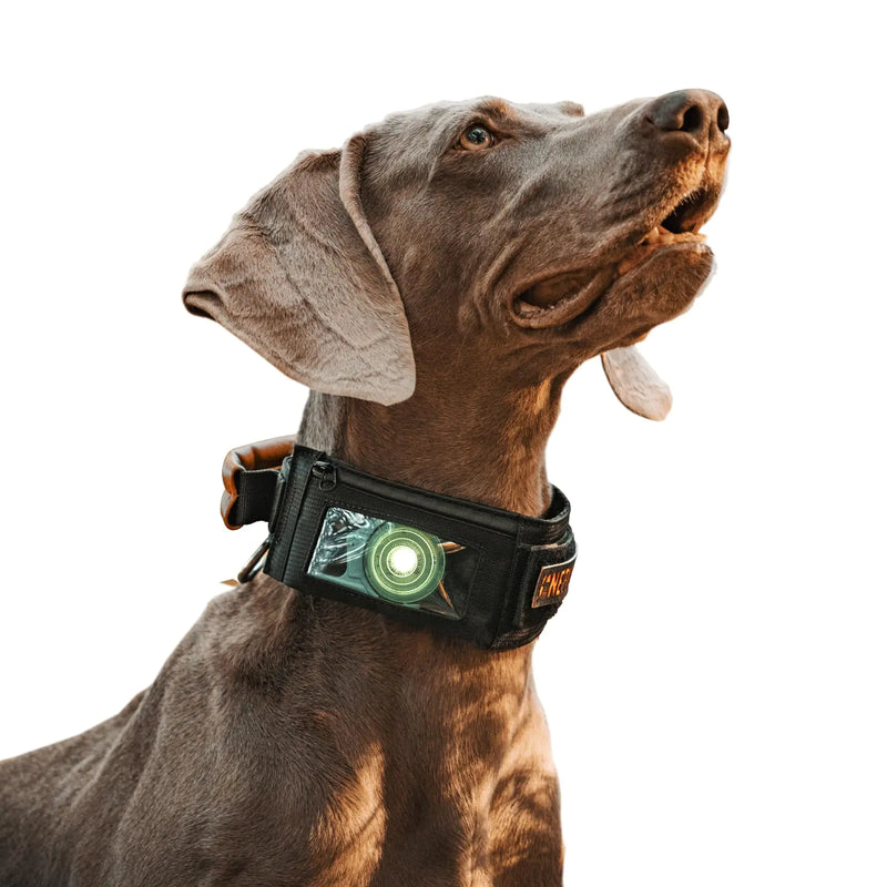 Tactical Heavy Duty Dog Collar