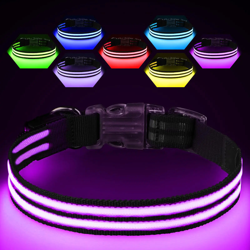 LED Dog Collar