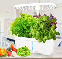 Hydroponic Planter Vegetable Planting Machine