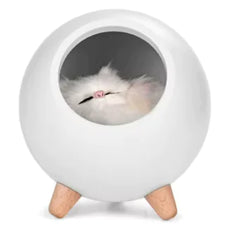 USB Charging Cat Night Light