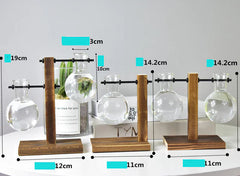 Creative Hydroponic Pothos in Modern Glass Vase