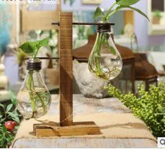 Creative Hydroponic Pothos in Modern Glass Vase
